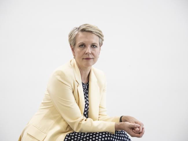 Labor education spokesman and deputy leader Tanya Plibersek said the party’s proposed hub would improve teaching of literacy and numeracy, and Aboriginal languages. Picture: Brian Cassey