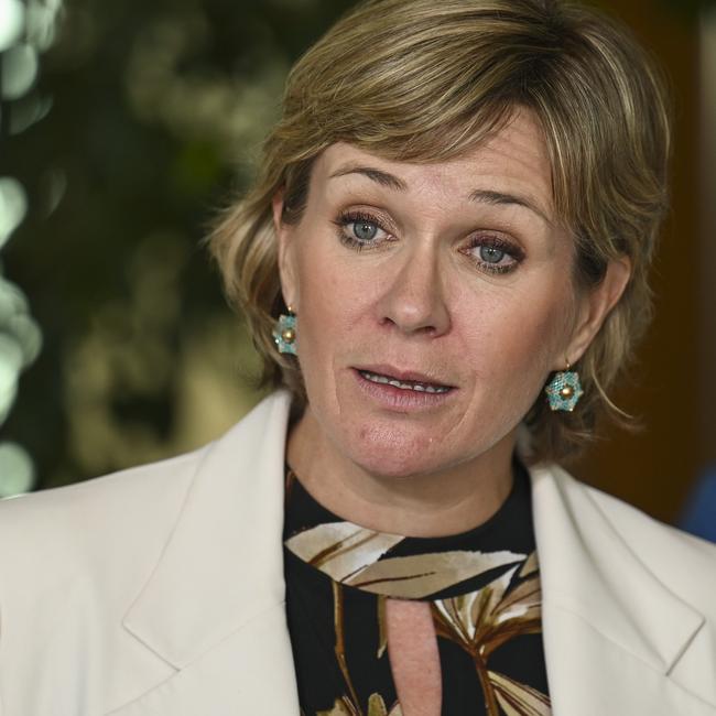 The independent federal MP for Warringah, Zali Steggall, has introduced a Bill in the federal parliament in an effort to stop PEP-11 going ahead. Picture: NCA NewsWire / Martin Ollman