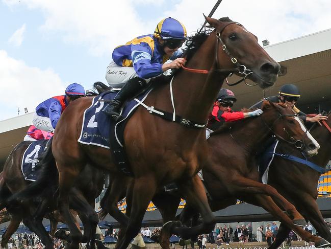 SYDNEY, AUSTRALIA - APRIL 27: Rachel King riding Highlights   wins Race 3 Phillip Picone during Sydney Racing at Rosehill Gardens on April 27, 2024 in Sydney, Australia. (Photo by Jeremy Ng/Getty Images)