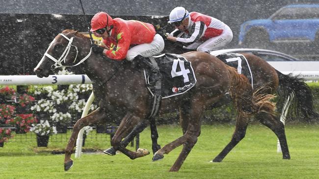 Fresh off an impressive debut victory over Roselyn's Star and Silmarillion at Canterbury on February 23, Gatsby’s is a short-priced favourite for the Group 3 Pago Pago Stakes at Rosehill on Saturday. Picture: Bradley Photos