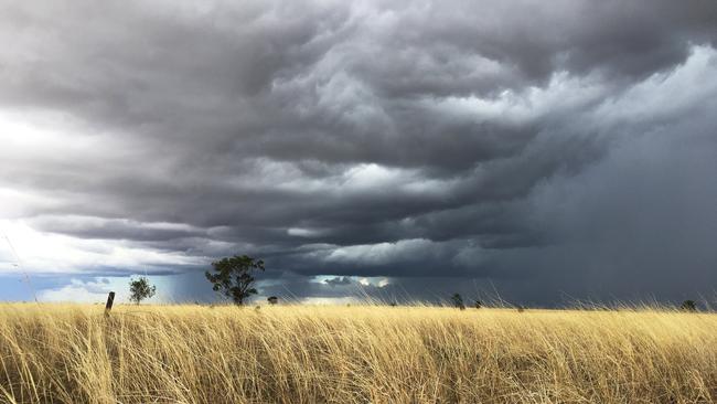 STORMS: Grab your umbrella and get a rain dance going – rain is coming to the region this week, and there’s even a chance of some big storms heading our way. Photo: File