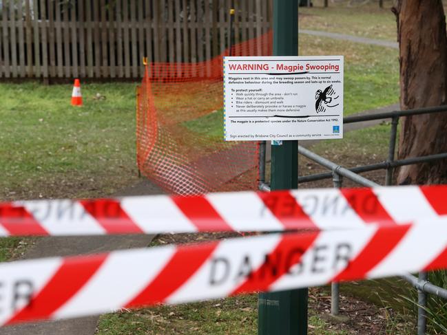 Council has shut a footpath in Glindemann Park following a Magpie attack, Holland Park. Picture: Liam Kidston