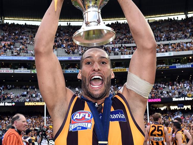 The mercury hit 31.3C when the Hawks won the 2015 AFL Grand Final at the MCG. Picture: Julian Smith