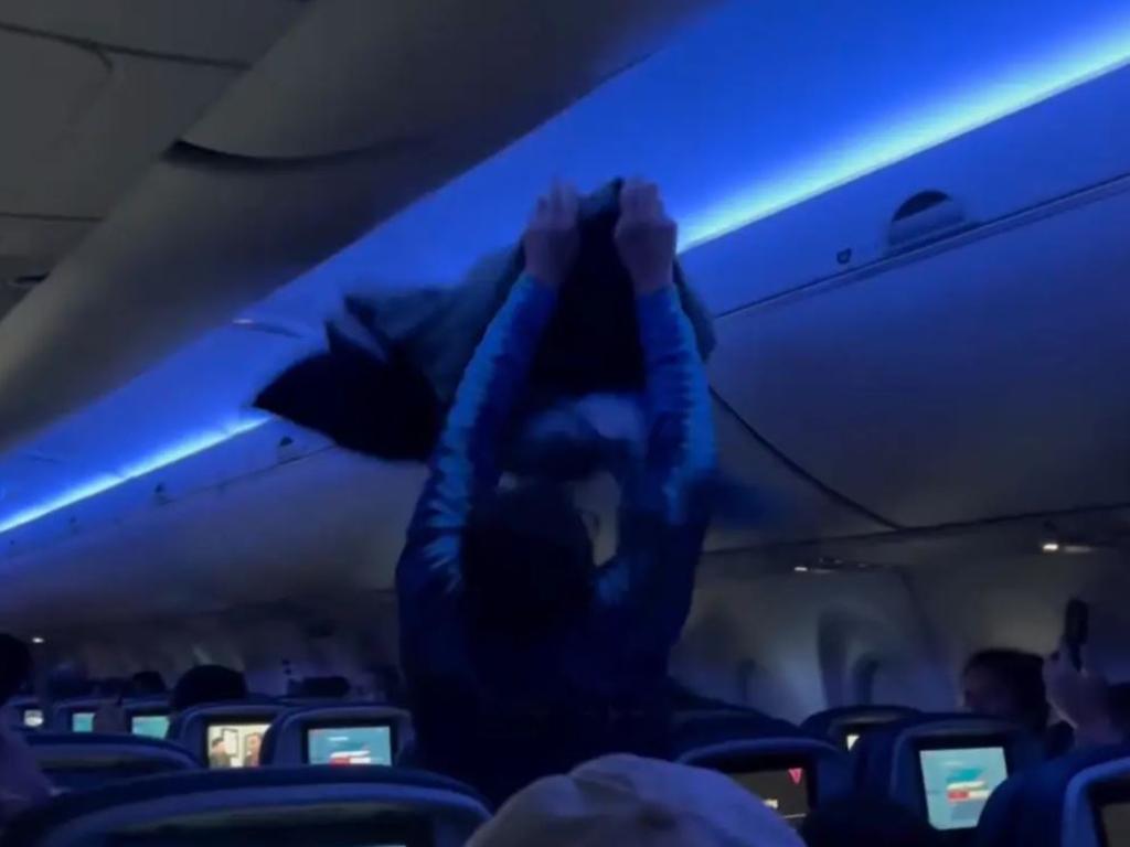 A passenger attempted to capture the bird with his jacket. Picture: cawtom/Instagram