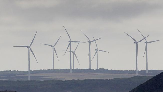 Turbines at the nearby Woolnorth wind farm.