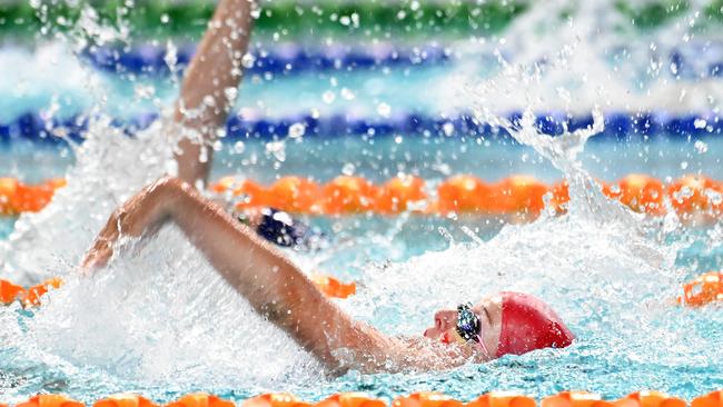 QGSSSA swimming championships Thursday February 29, 2024. Picture, John Gass