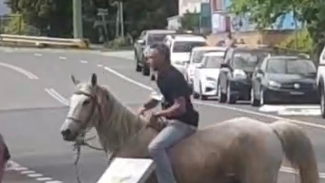 Michael Corrigan and his horse at an anti-vaccination protest at Murwillumbah.