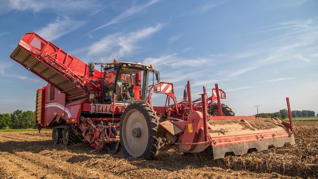 Potato haulm toppers: What are the options? - Farmers Weekly