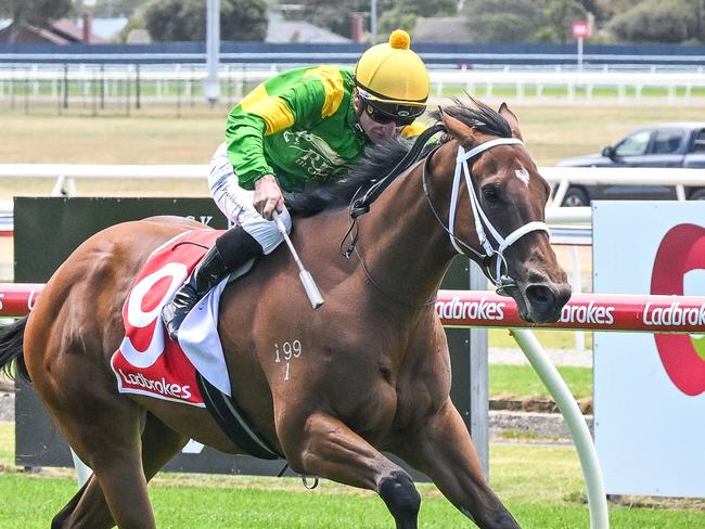 Regal Secret has a great chance to break through for another win when she heads to Mornington on Wednesday. Picture: Racing Photos via Getty Images.