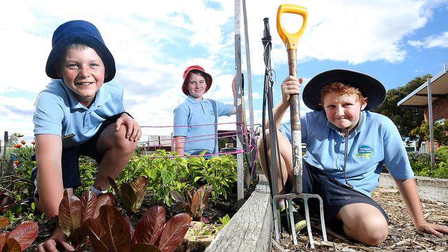 Moonah Primary students Bradley Measday 11, left, Darcy Dare 11 and Jayden Kearney 10 in the school veggie patch. Picture: SAM ROSEWARNE