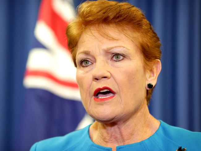 Pauline Hanson announces Raj Guruswamy and George Christiansen to run for the senate, One Nation Pauline Hanson presser, Brisbane City, on Wednesday April 13th - Photo Steve Pohlner