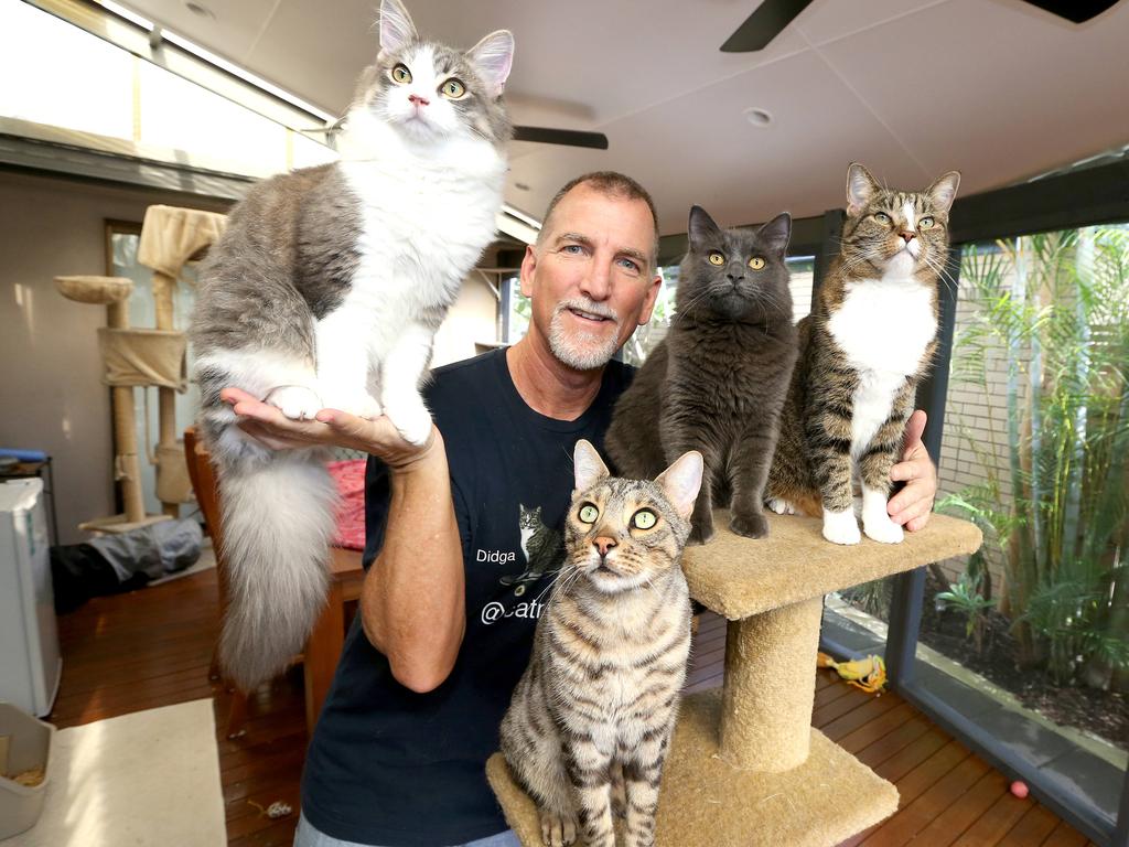 Robert Dollwet at his Tweed Heads home with his four cats: Jeb, Bindi, Boomer and Didga. Picture: Mike Batterham