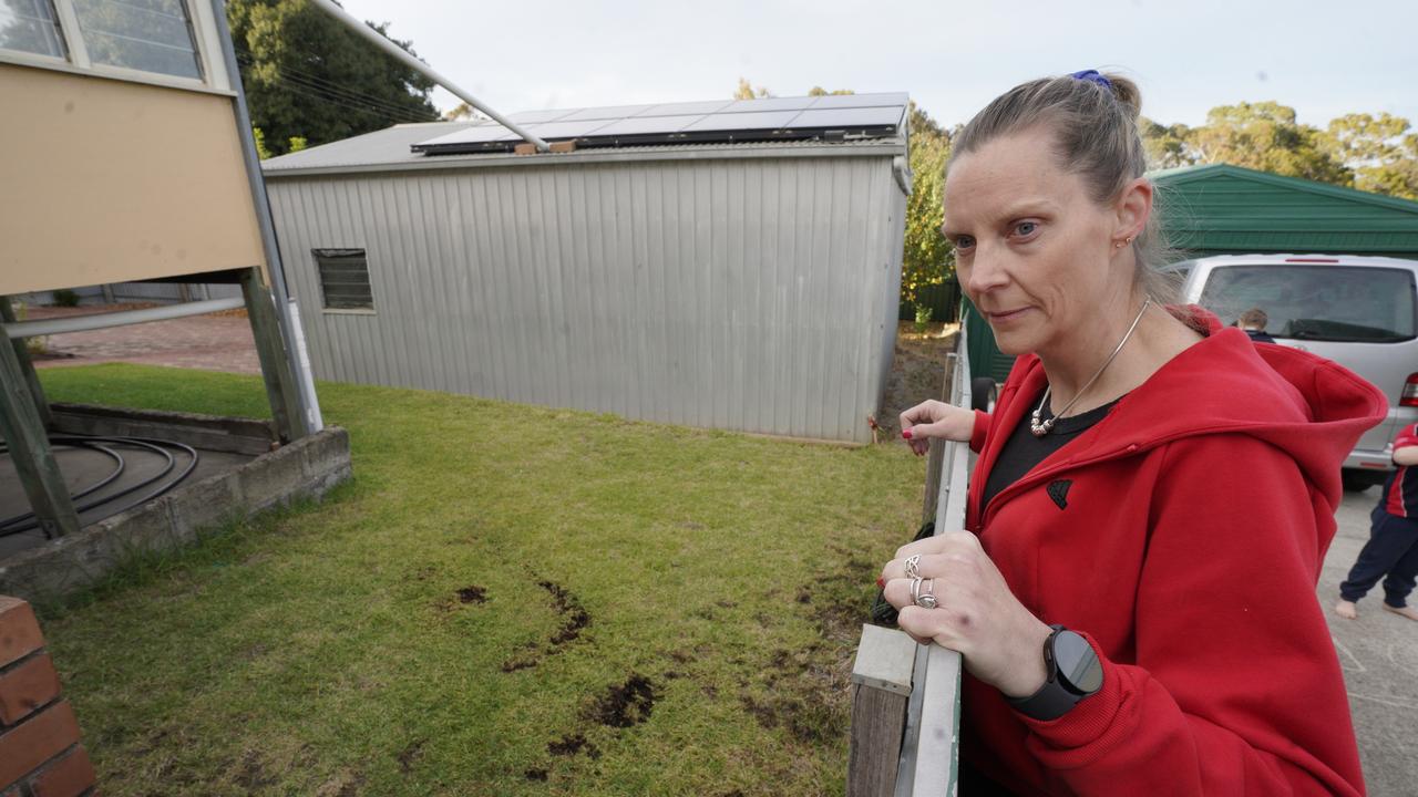 Trine Holst believed the firebomb was aimed at her shed, but landed in the back yard of her neighbours. Picture: Dean Martin