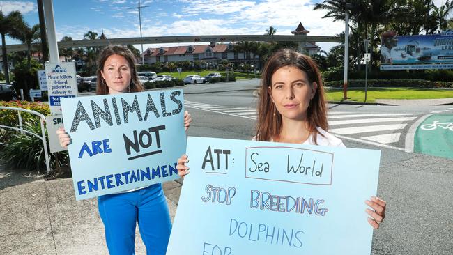 Sea World protesters Katie Hunter and Jordan Sosnowski. Picture: NIGEL HALLETT