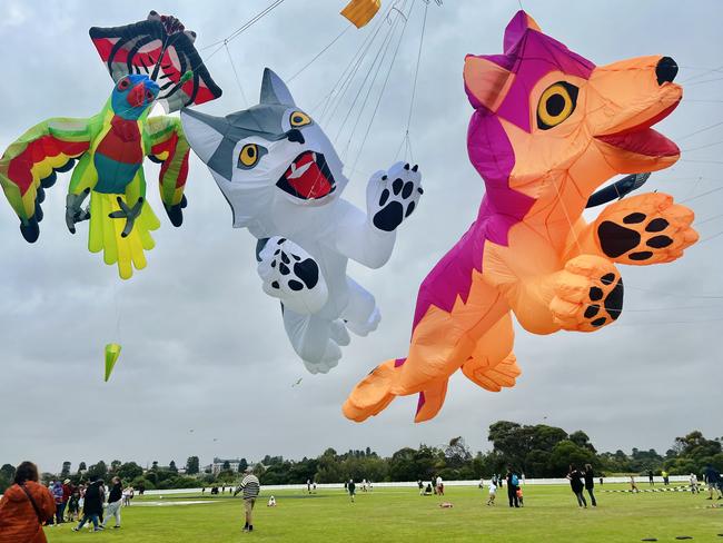 The Giant Kite Flying Display has been running for three years, where visitors can see unique designs soar through the sky. Picture: Jack Colantuono