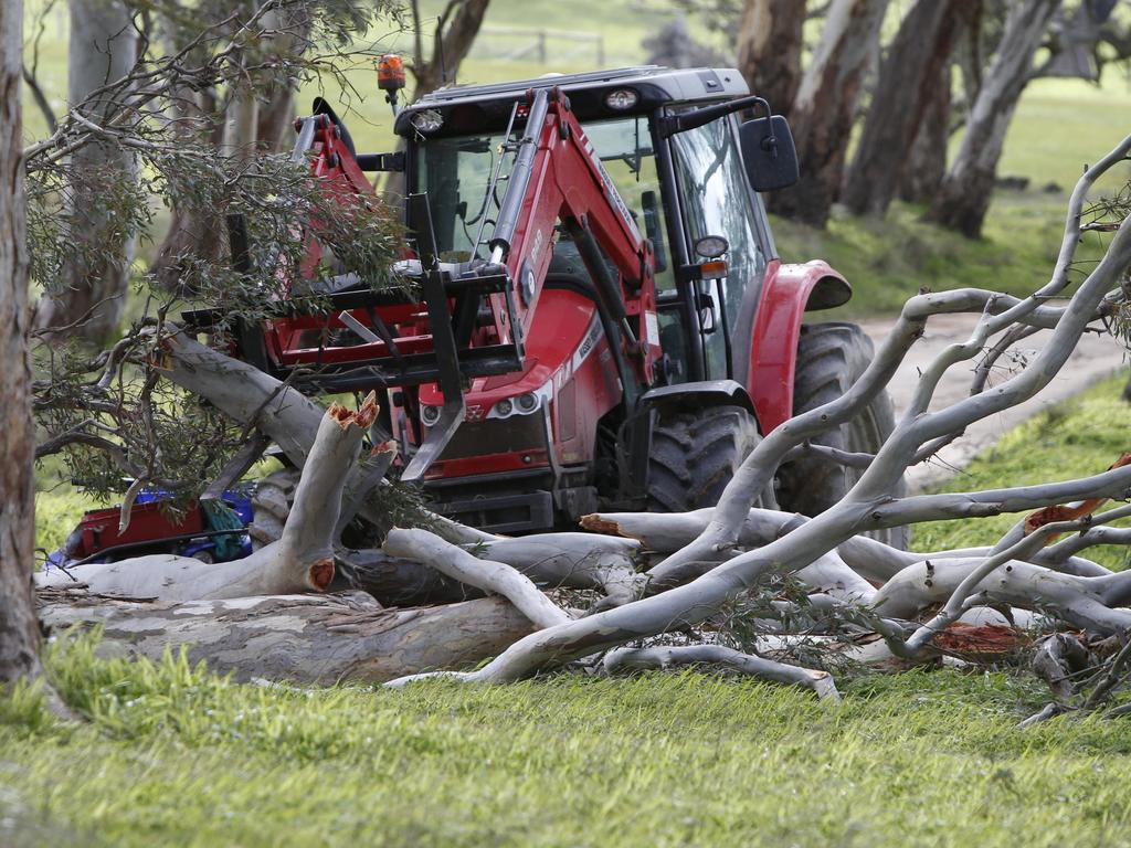 A tractor removes branches from the scene where a tree fell on a man inTungkillo. Picture: Simon Cross