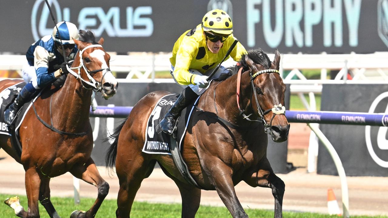 Without A Fight won the Champion Stayer award. Picture: Vince Caligiuri/Getty Images