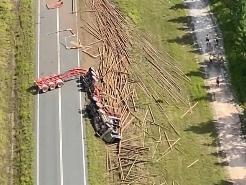 The scene of a logging truck crash at Tuan Forest on Monday.