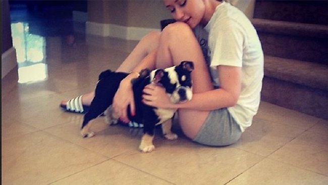 At home...Iggy Azalea shares a picture of her new puppy 'Jelli'. Picture: Instagram