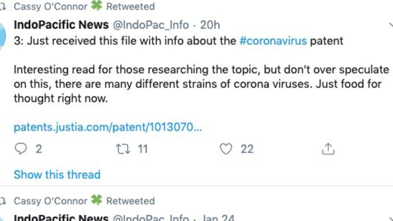 Tasmanian Greens leader Cassy O’Connor retweeted claims the coronavirus was ‘man made’. Picture: Facebook