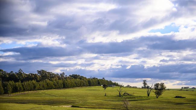 A new report has found while much of the global and local economy is being severely buffeted, Australian agricultural land is expected to remain “largely unscathed”.