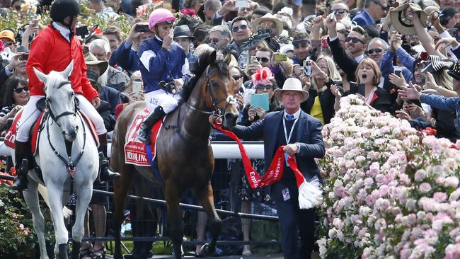 Who are you backing for the Melbourne Cup?