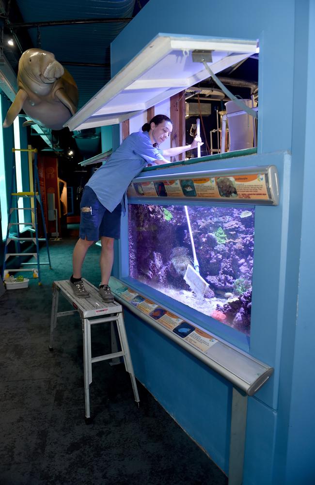 Behind the scenes at Reef HQ. Aquarist Kathy Connellan cleans the glass in the Reef Crest Tank. Picture: Evan Morgan