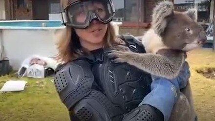 ITV reporter Debi Edward holds the 'drop bear' at Kangaroo Island's Wildlife Park.