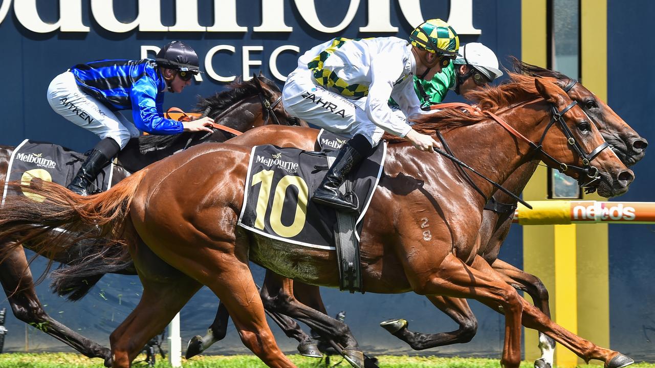 Argentia can record her first Sydney win in the Alan Brown Stakes at Rosehill. Picture: Getty Images