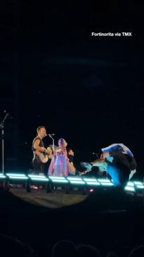 Coldplay stops concert after fan falls from stage