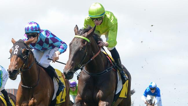 Too Darn Discreet ridden by Michael Dee wins the Schweppes Ethereal Stakes at Caulfield Racecourse on October 19, 2024 in Caulfield, Australia. (Photo by Reg Ryan/Racing Photos via Getty Images)