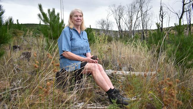 Sharon Musson, CFMEU NSW manufacturing president and long-time timber worker in Tumut, at a softwood plantation site that burnt down during the Black Summer bushfires. Picture: Noah Yim/The Australian