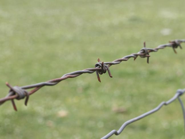 Barbed Wire Fence