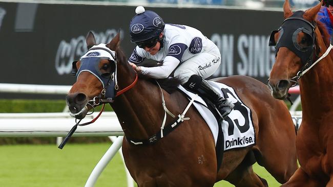 Father’s Day has been burning up the track ahead of Saturday’s Stayers Cup at Rosehill Gardens Picture: Jeremy Ng/Getty Images