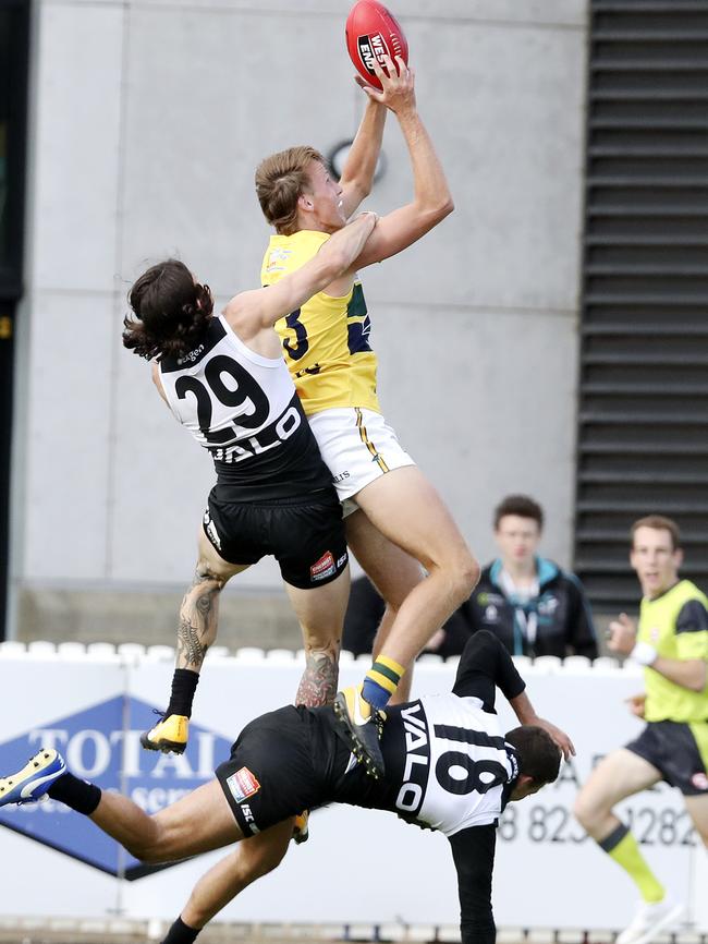 Jack Lukosius takes a big mark over Jasper Pittard and Jimmy Toumpas in the SANFL. Picture: Sarah Reed