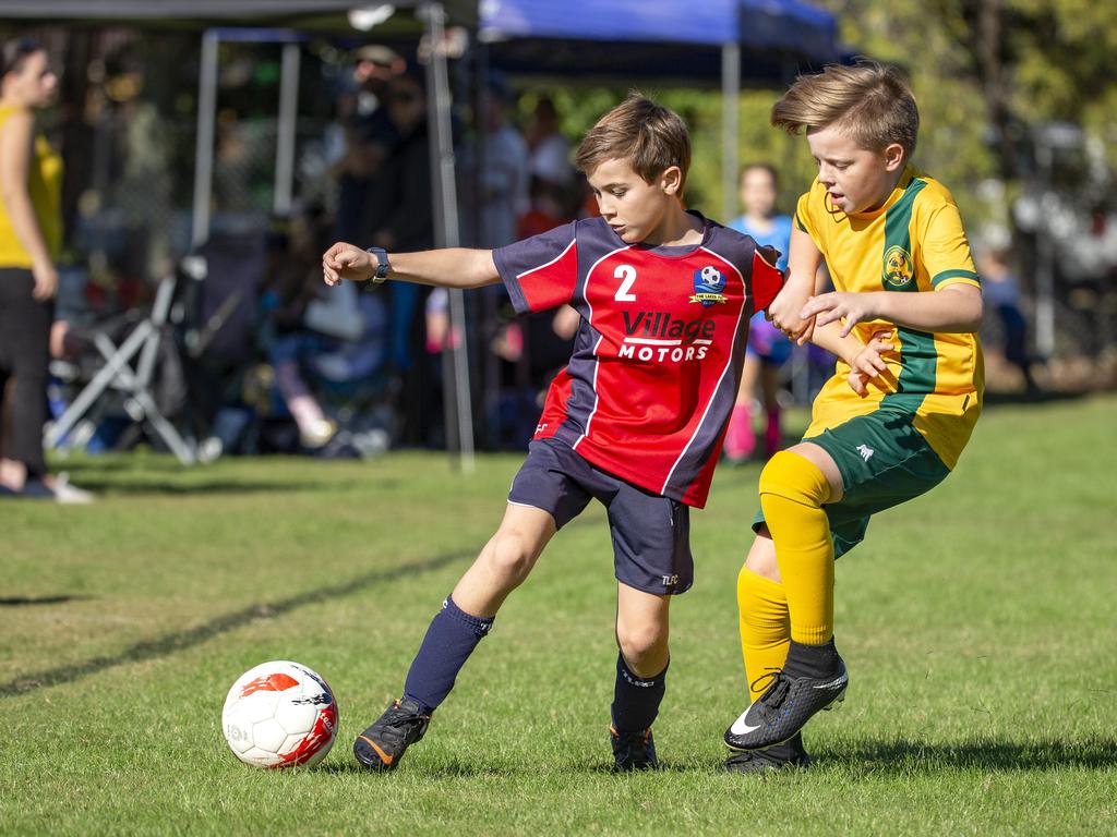 Redcliffe PCYC Dolphins: John Davis miniroos football cup | The Courier ...