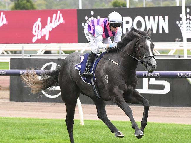 Sghirripa wins the Standish Handicap at Flemington. Picture: Brett Holburt-Racing Photos