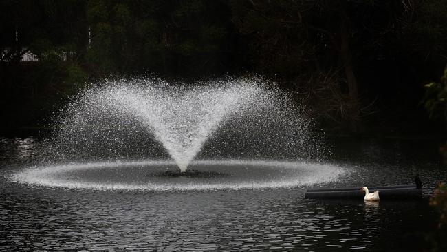 The scenic dam will undergo an alteration to improve its accessibility. Picture: Carmela Roche