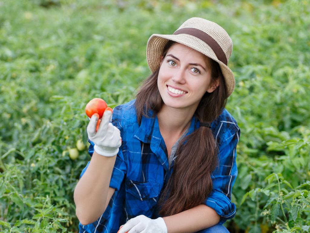 All plants need basic nutrients to prosper.