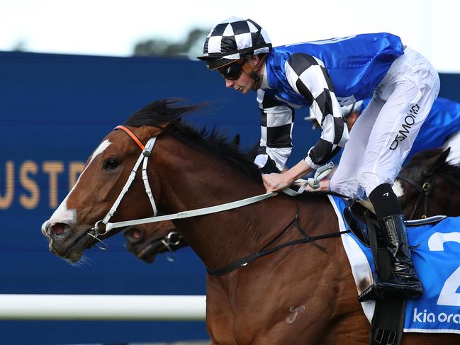 SYDNEY, AUSTRALIA - AUGUST 17: Benjamin Osmond riding Hellavadancer wins Race 5 KIA Ora Prague during "Rosebud Day" - Sydney Racing at Rosehill Gardens on August 17, 2024 in Sydney, Australia. (Photo by Jeremy Ng/Getty Images)