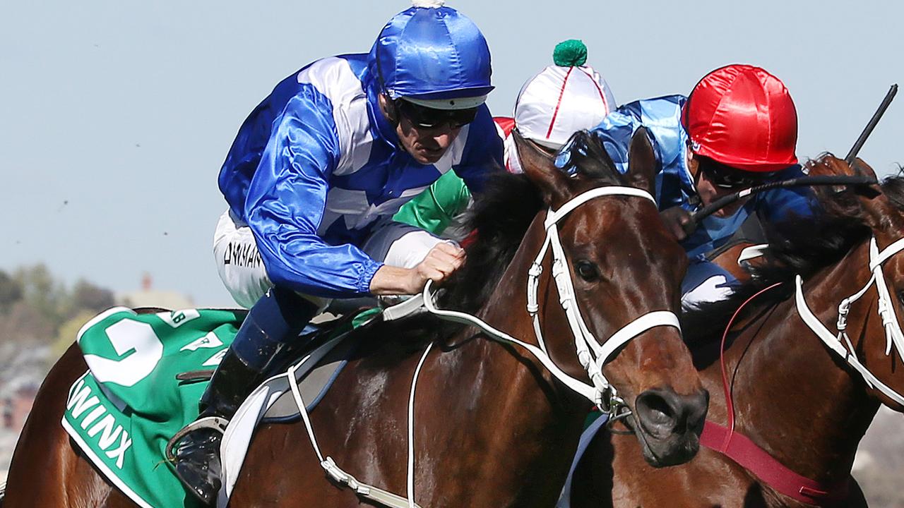 Caulfield Guineas Day Podcast; Tips, Quaddie, Winx, Hugh Bowman | News ...