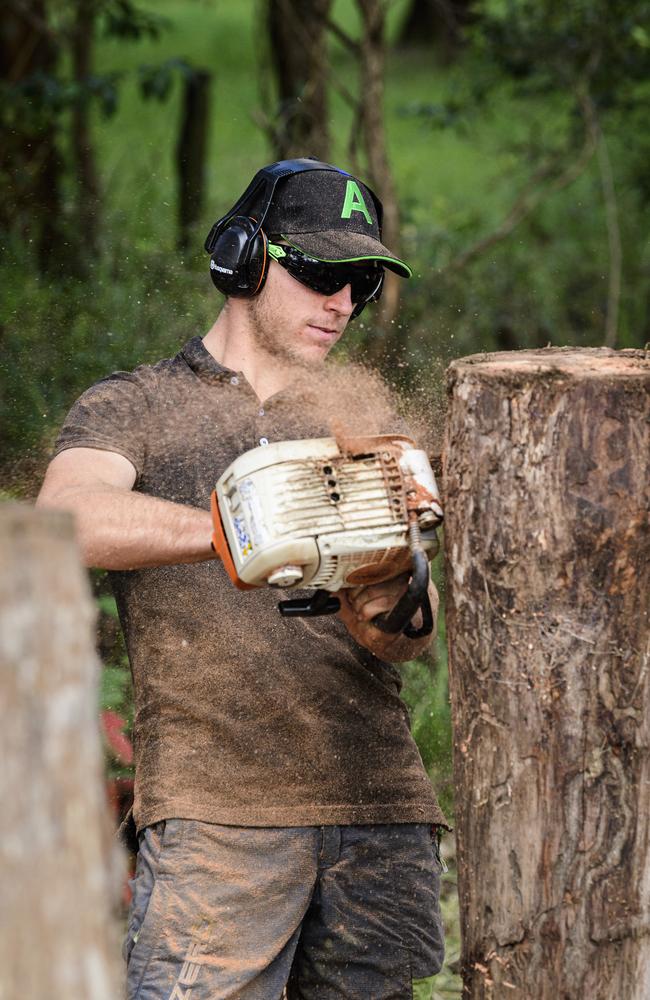 Ben Sparshott of Leaftail Environmental demonstrates chainsaw carving at the Hampton Festival, Saturday, May 17, 2025. Picture: Kevin Farmer