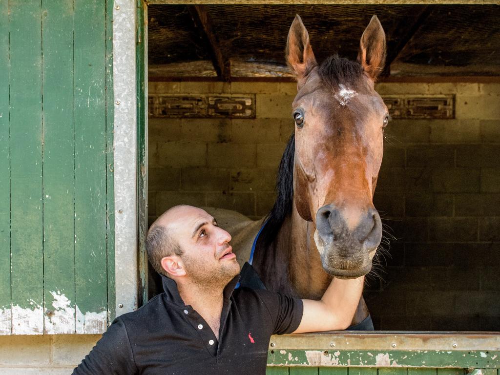 Con Karakatsanis with his South Grafton Cup runner Kasharn.