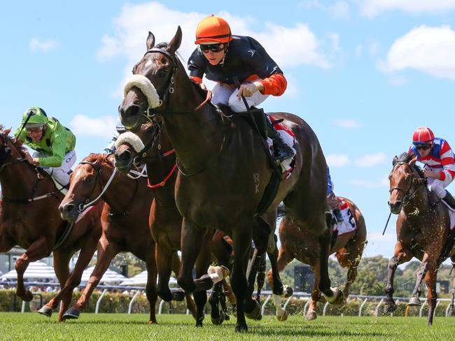 Maharba ridden by Damian Lane wins the TCL Talindert Stakes at Flemington Racecourse on February 18, 2023 in Flemington, Australia. (Photo by George Sal/Racing Photos via Getty Images)