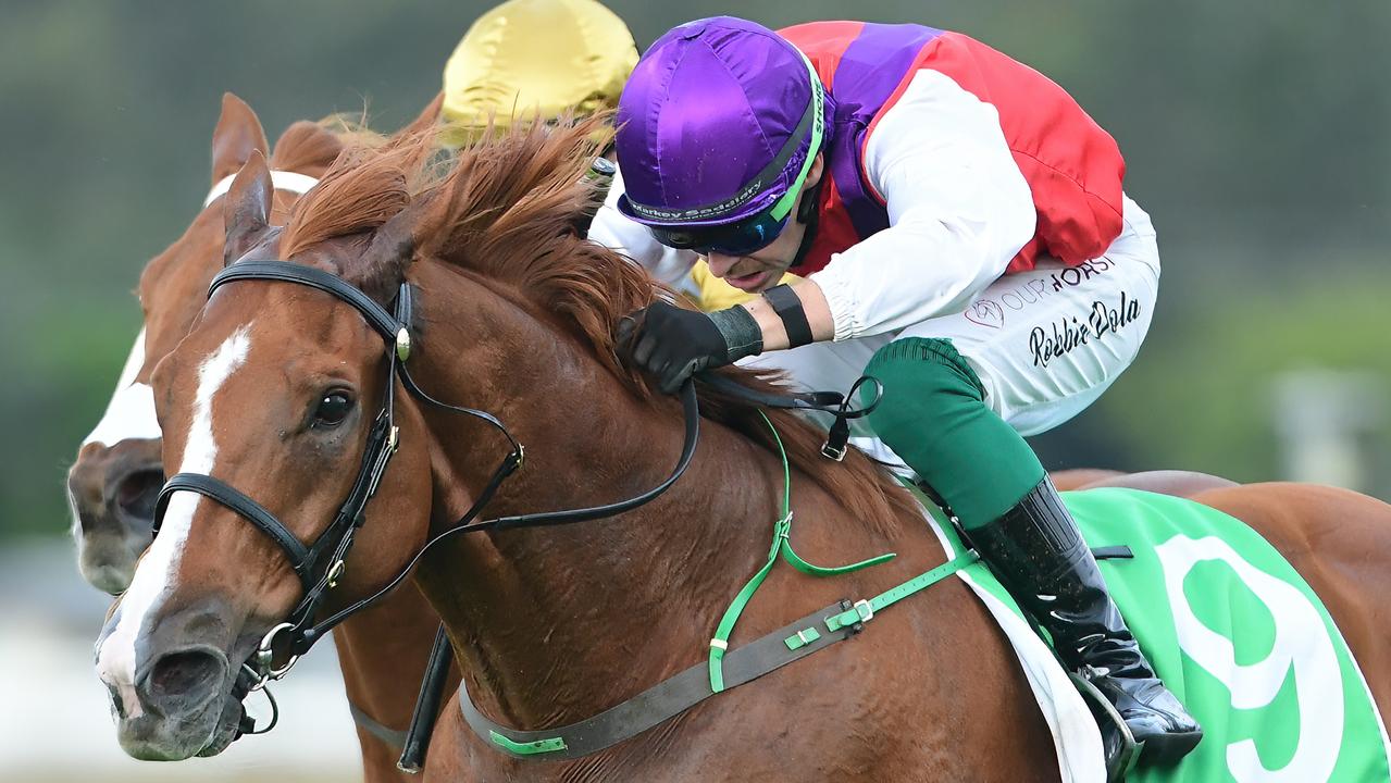 Melbourne Cup-winning hoop shines at Ipswich … again