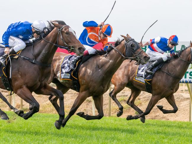 Racing Victoria continues to turn a cold shoulder to V’landys and The Everest. Picture: Jay Town/Racing Photos via Getty Images