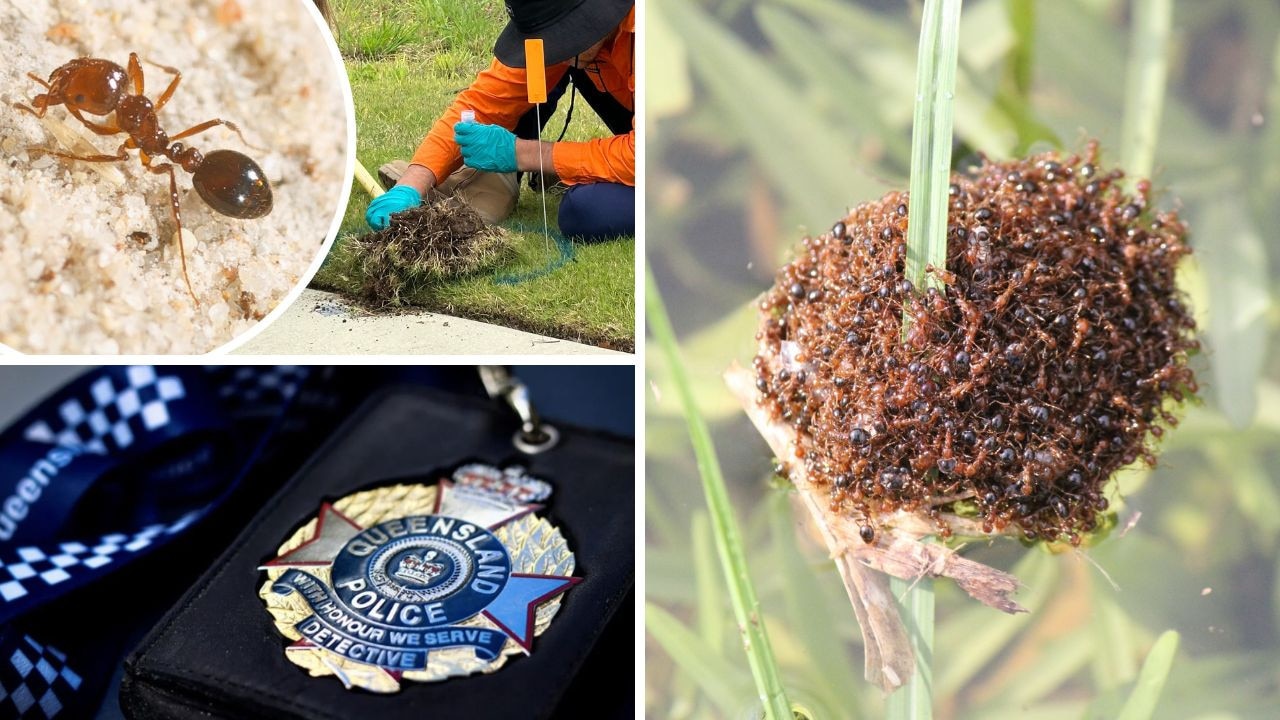 Cops called as landowners revolt over ‘toxic’ fire ant chemicals