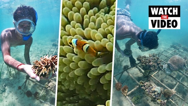 Bali's coral gardeners