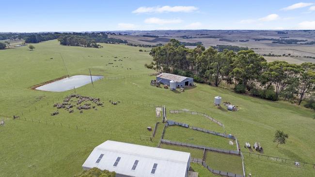 This small farm at Tahara sold at auction last week for $3.5 million.