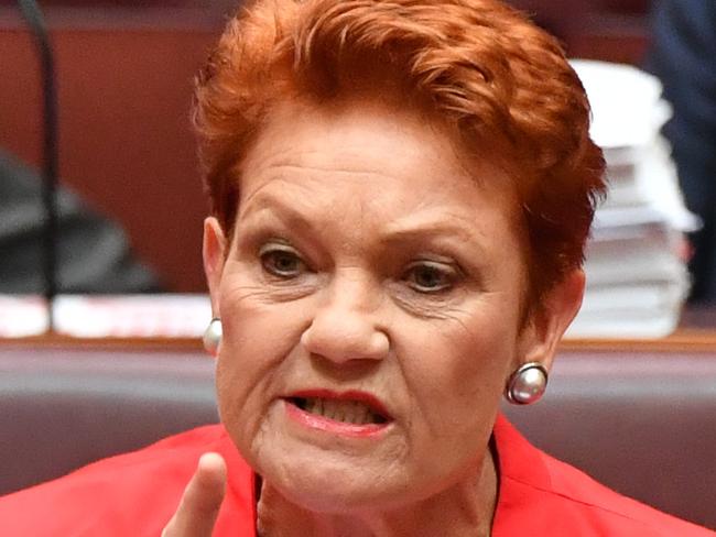 ‘He is a bully’: Pauline’s epic spray about PM